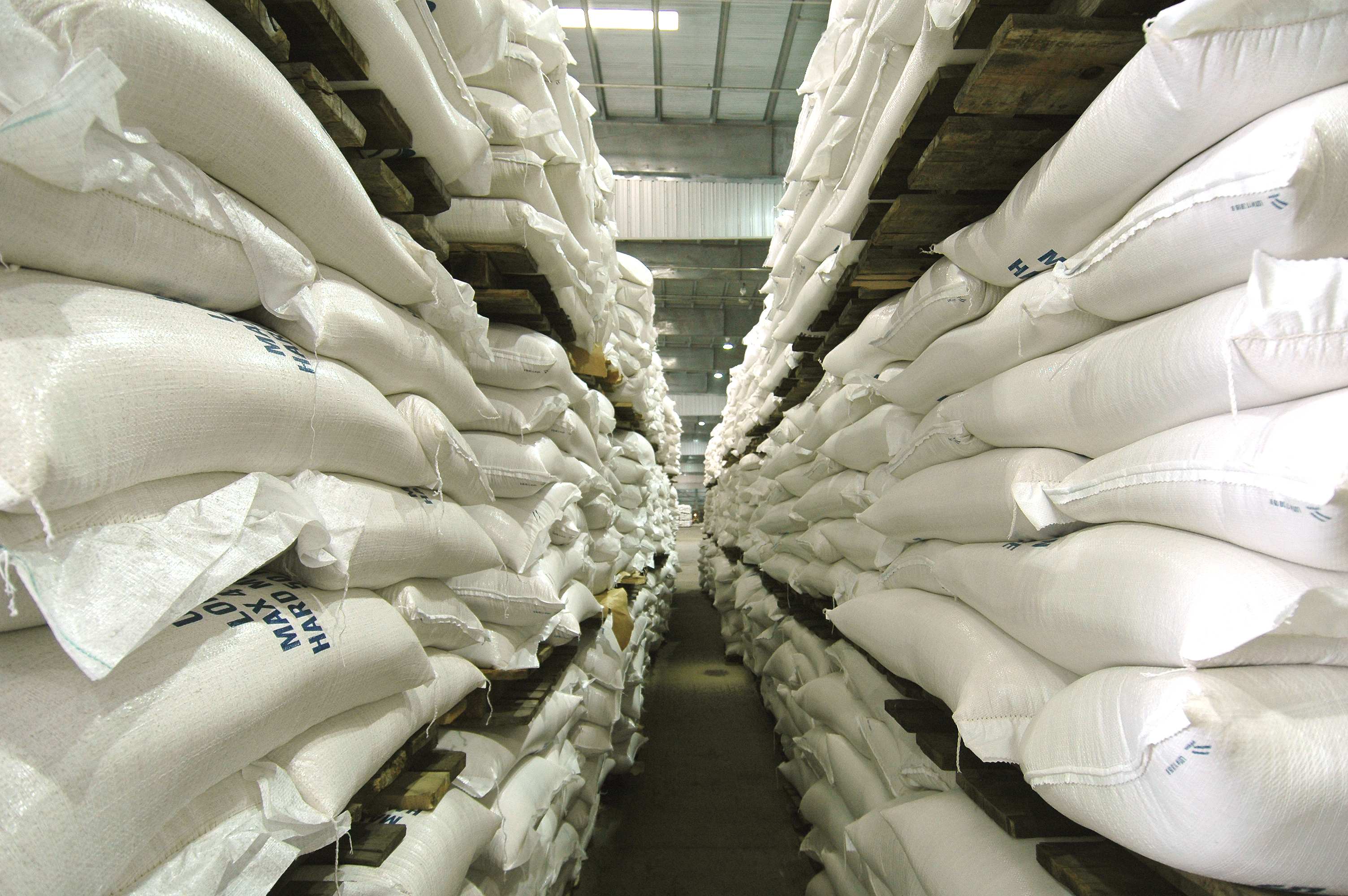 Louisiana’s Rice Exports and Share of Global Trade